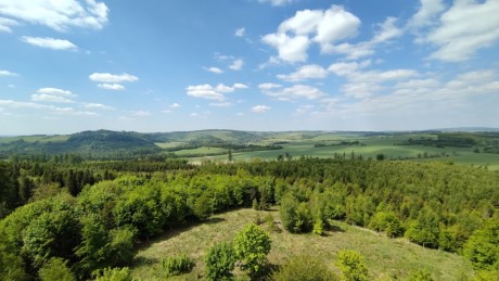 ZAJ19