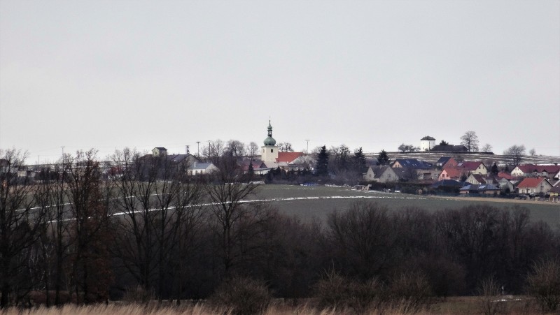 BRA_19