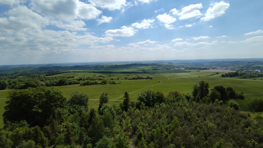 ZAJ16