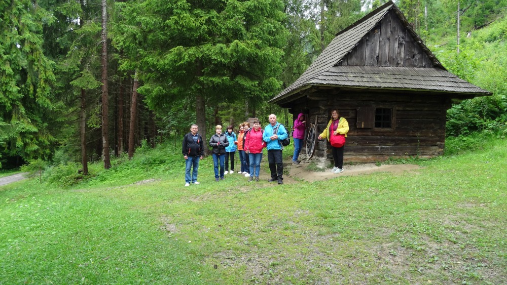 VYCH15